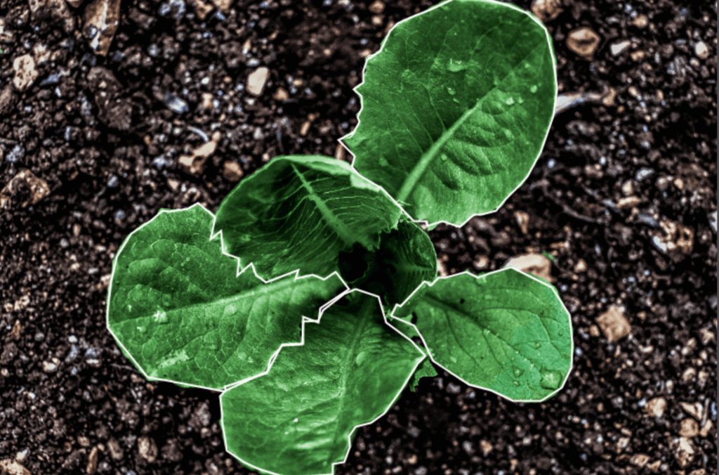 Agritech-new Agritech-new