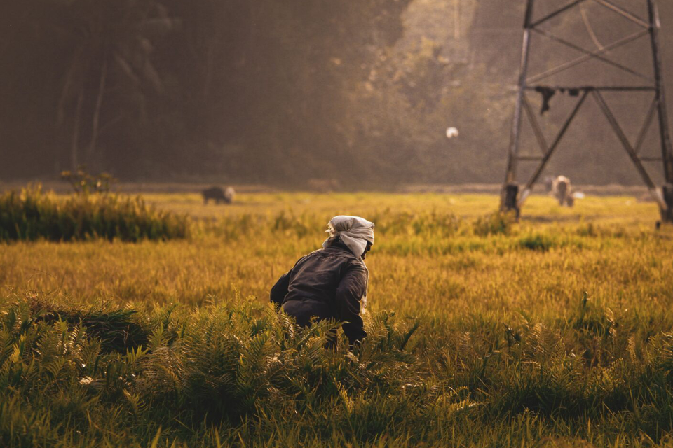 Fostering-Urban-Rural-development-thumbnail-new