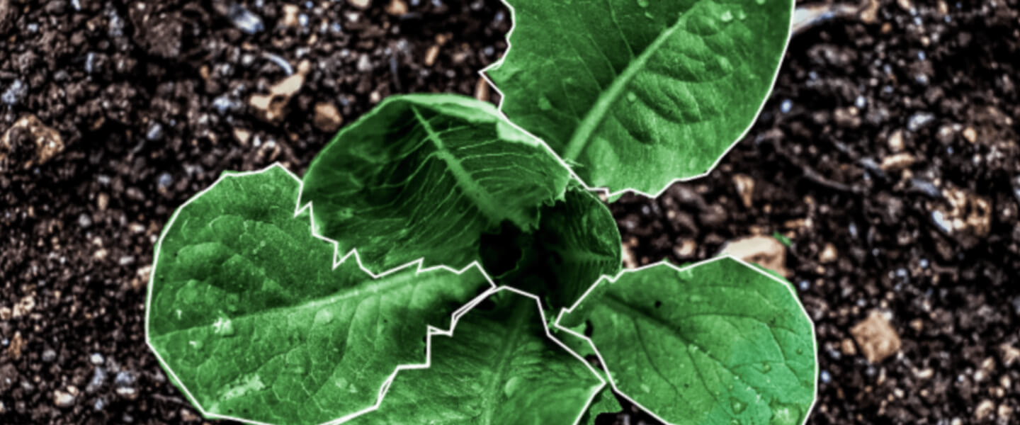 agritech-revoluation-banner-new agritech-revoluation-banner-new