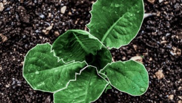 agritech-revoluation-thumbnail