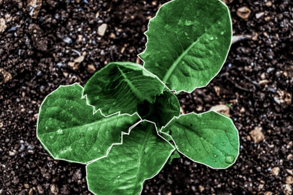 agritech-revoluation-thumbnail