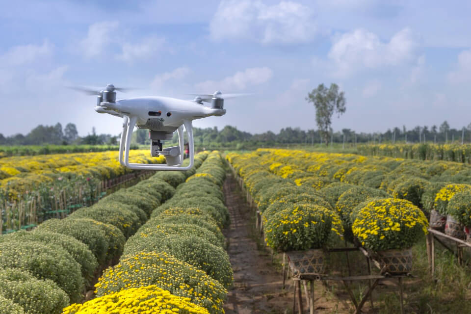 data-labeling-new data-labeling-new