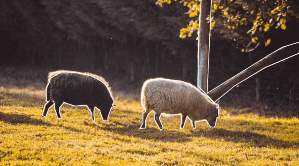 future-of-agriculture-second-new future-of-agriculture-second-new