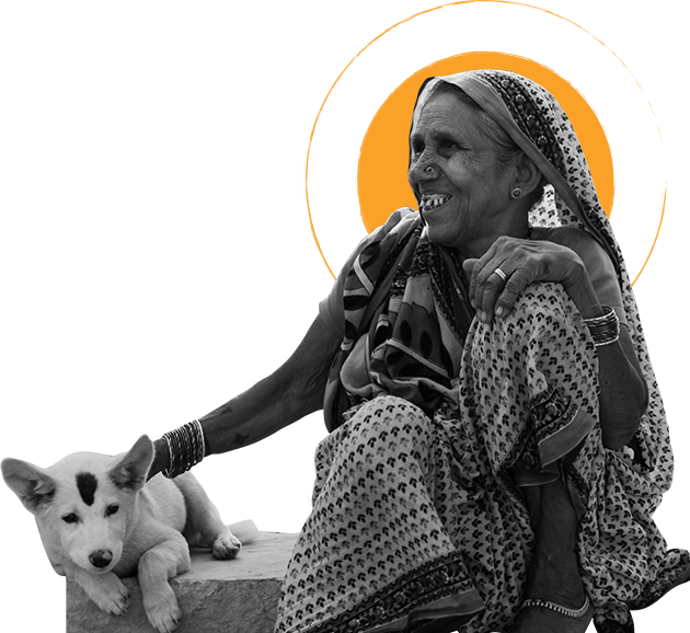 impact-new impact-new