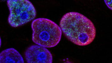 power-of-ai-thumbnail-new