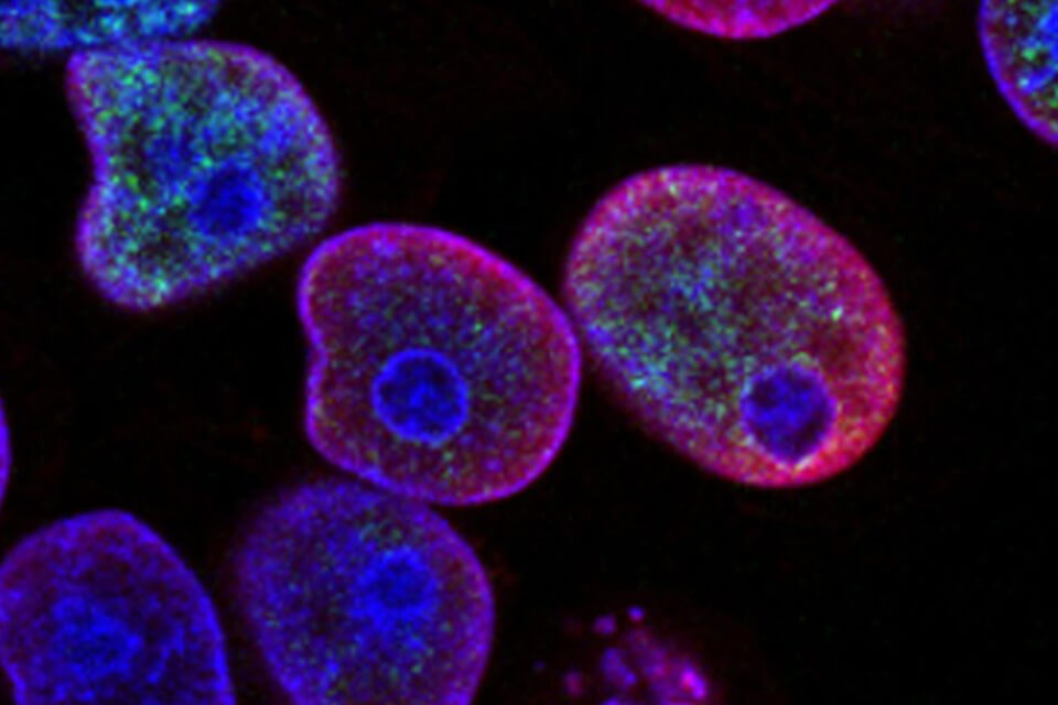 power-of-ai-thumbnail-new